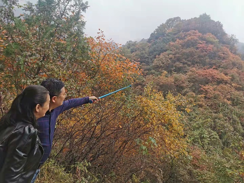 未來星防靜電地板